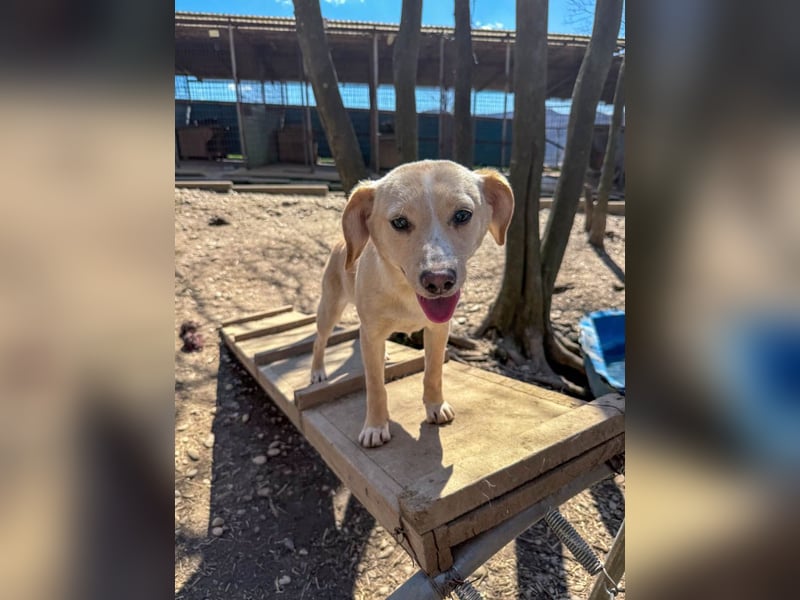 möchtest DU SASSY die Welt zeigen ?