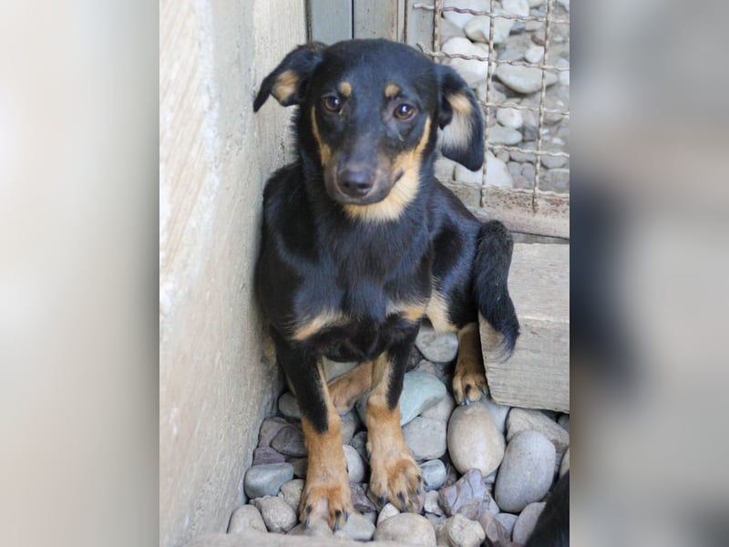 ruhige SMILLA möchte Weltentdeckerin werden wenn sie groß ist ;-)