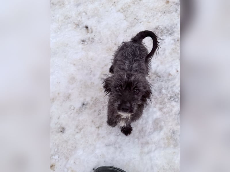 Freundlicher KAIRO möchte die Welt entdecken