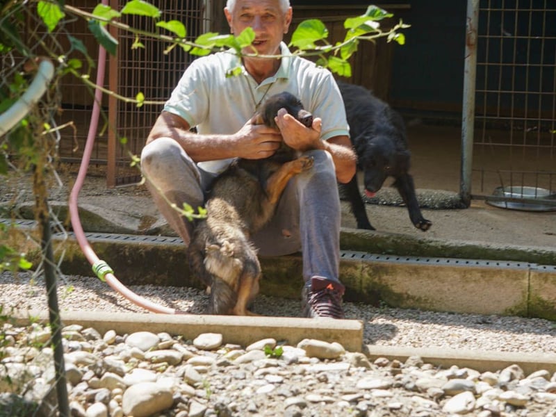 supersüße WELLA sucht nach DIR