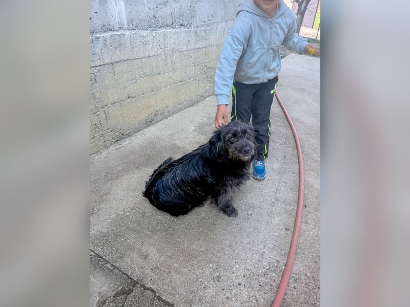 Zuckerschnauze RAMONA - bist du ihr Ticket ins Glück