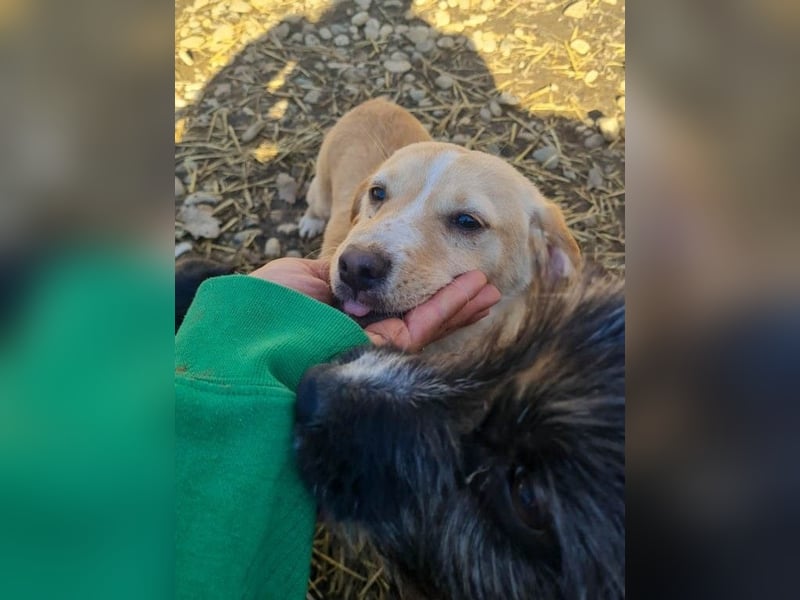 möchtest DU SASSY die Welt zeigen ?