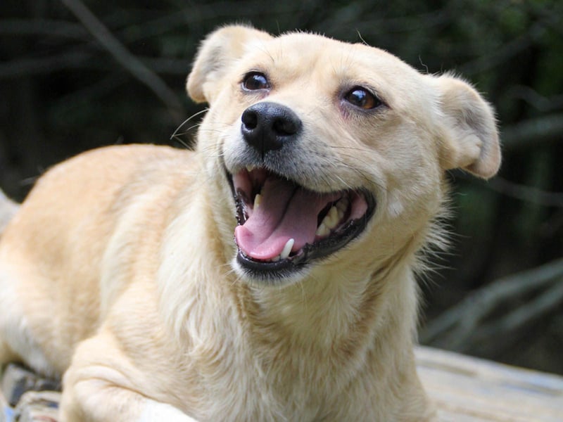 INESSA liebt die Nähe der Menschen sehr