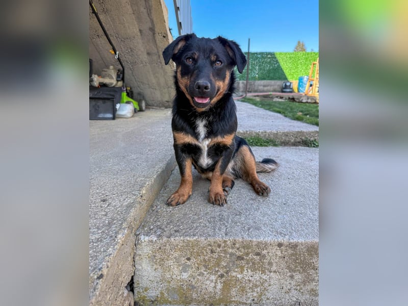 hübsch, hübscher, ROXANA