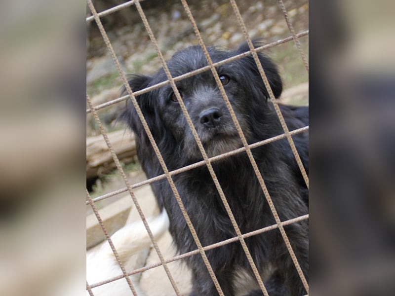 RAMONA freundlich, aufgeweckt sucht Ihre Abenteuer-Menschen !