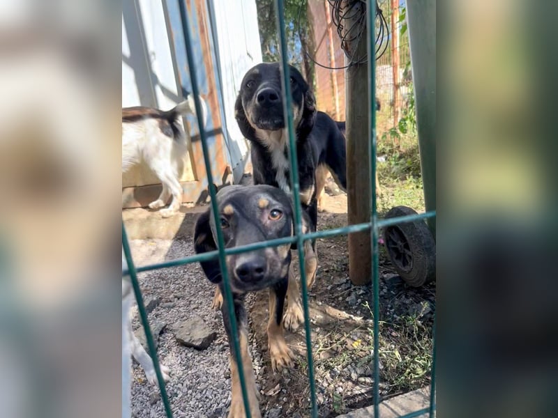 ruhige SMILLA möchte Weltentdeckerin werden wenn sie groß ist ;-)