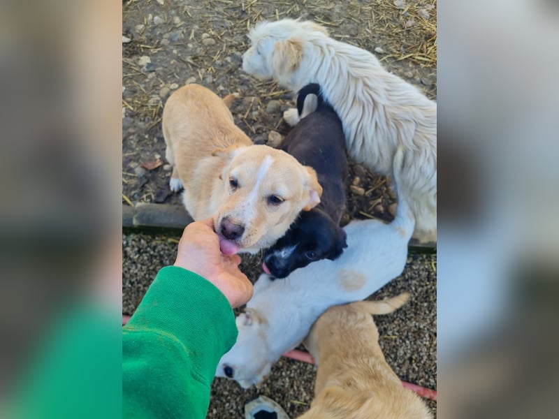 möchtest DU SASSY die Welt zeigen ?