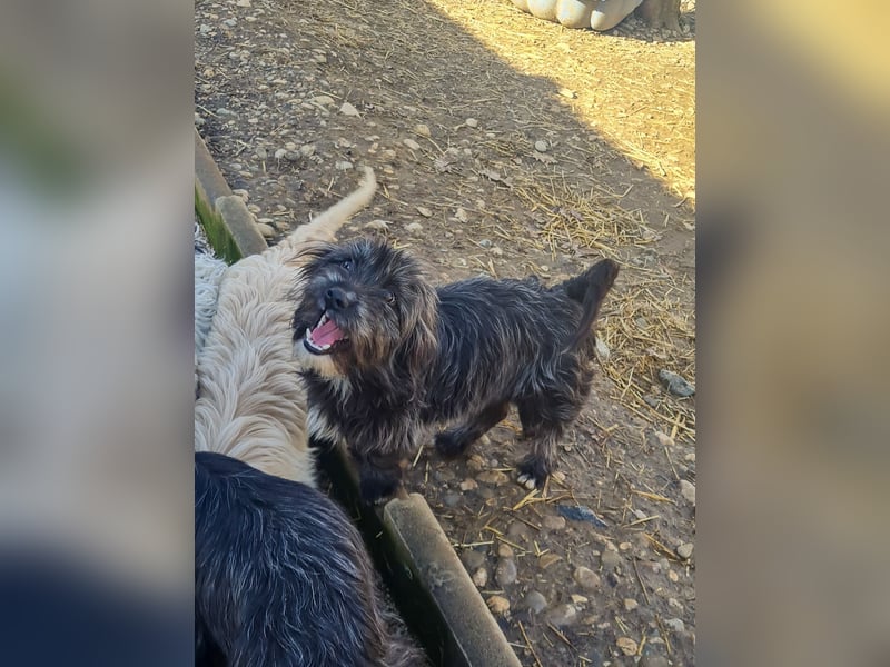 Freundlicher KAIRO möchte die Welt entdecken