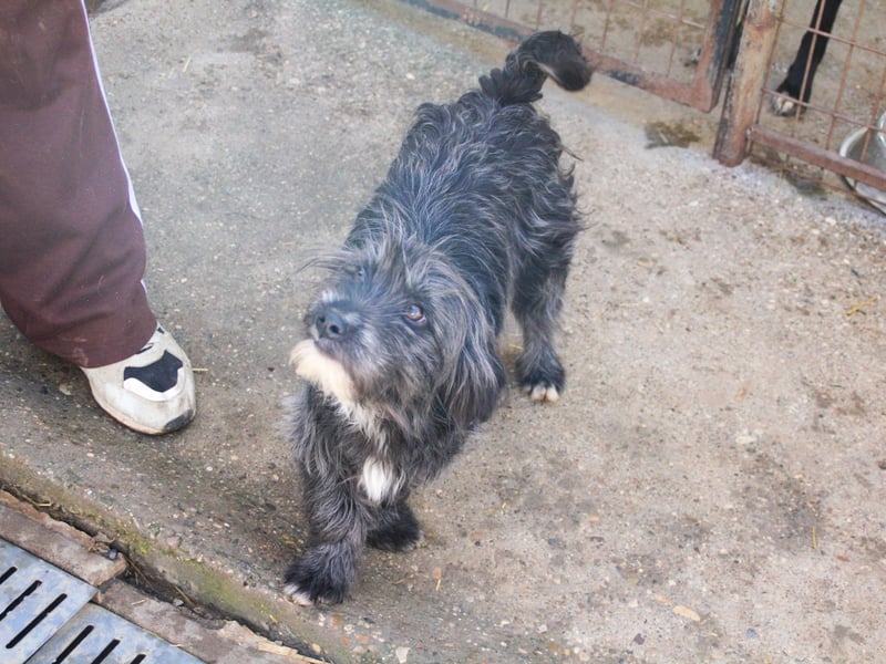 Freundlicher KAIRO möchte die Welt entdecken