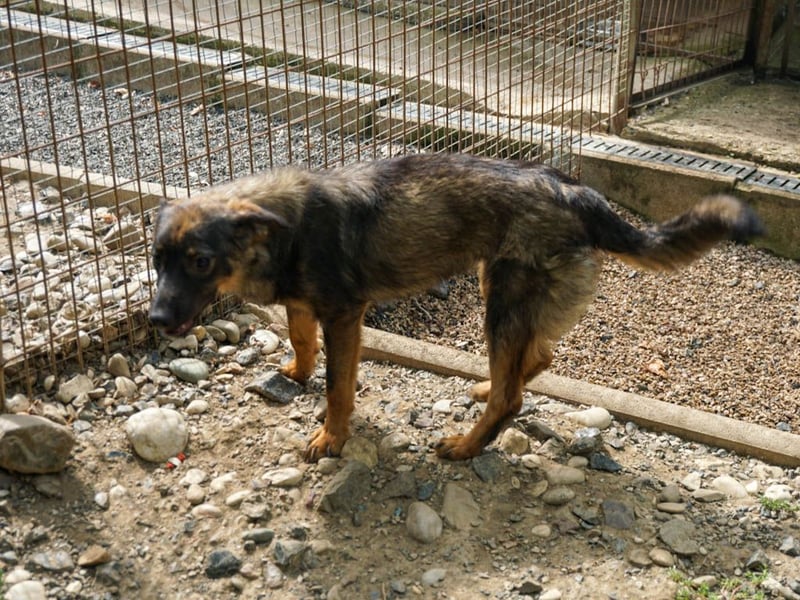 WELLA - rundum PERFEKT WELLA - rundum PERFEKT