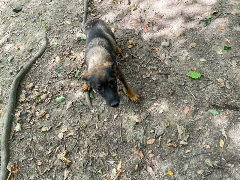 WELLA - rundum PERFEKT WELLA - rundum PERFEKT