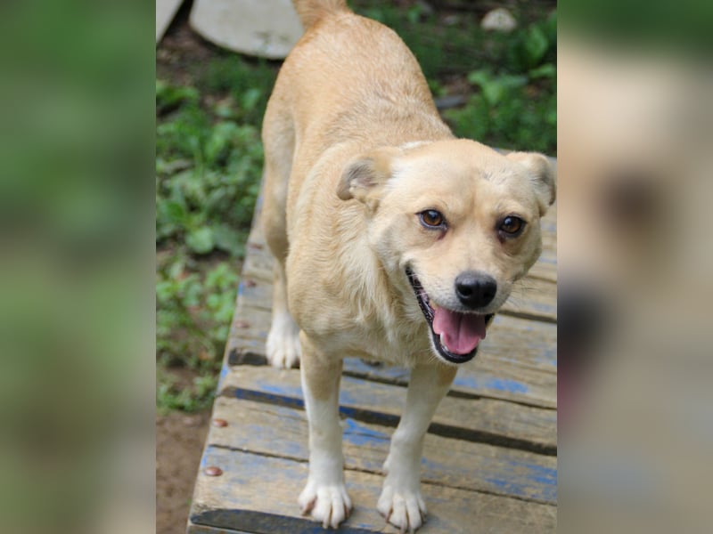 INESSA liebt die Nähe der Menschen sehr