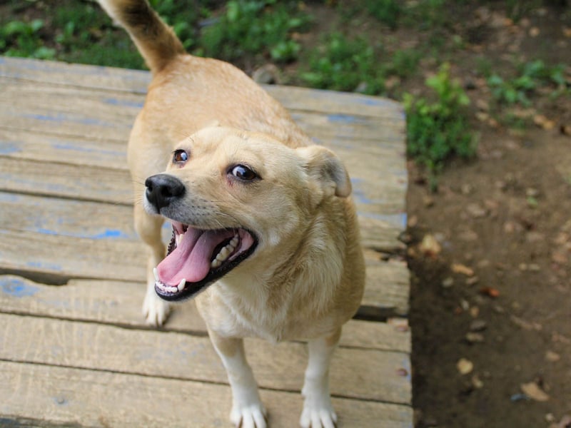 INESSA liebt die Nähe der Menschen sehr