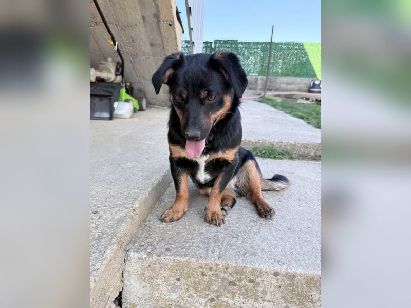 kleine Prinzessin ROXANA sucht ihr Königreich