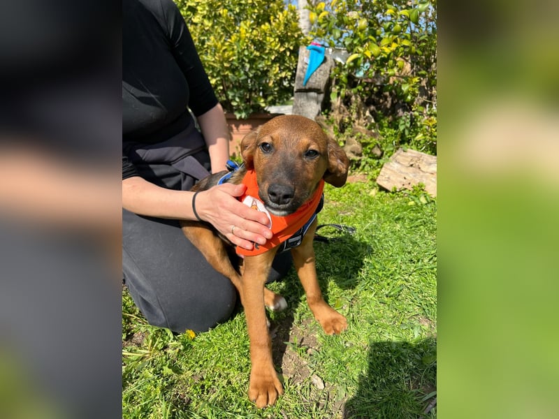 BODO – kleiner Entdecker mit großem Herz