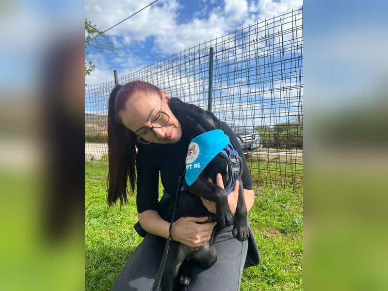 DINGO – mutiger kleiner Abenteurer