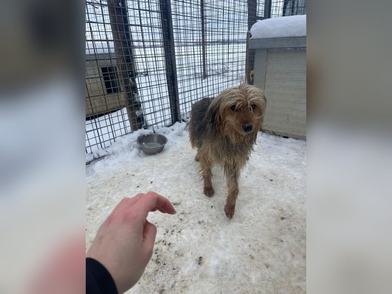 RUBY – zarte, sensible Seele