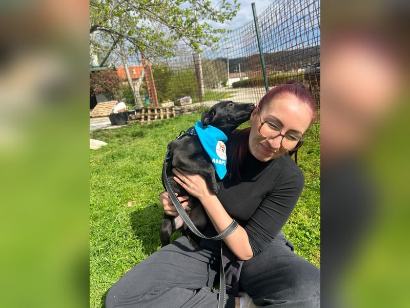 DINGO – mutiger kleiner Abenteurer