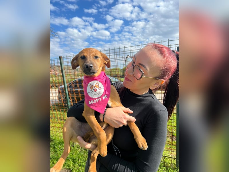 MACY – sanfte Kuschelmaus mit großem Herz