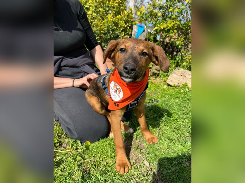 BODO – kleiner Entdecker mit großem Herz