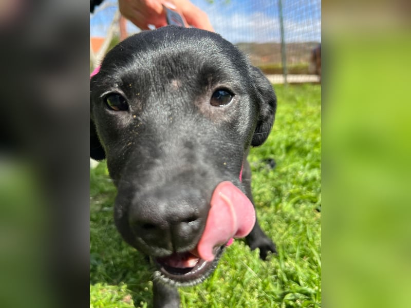 SHILA – neugierige kleine Entdeckerin