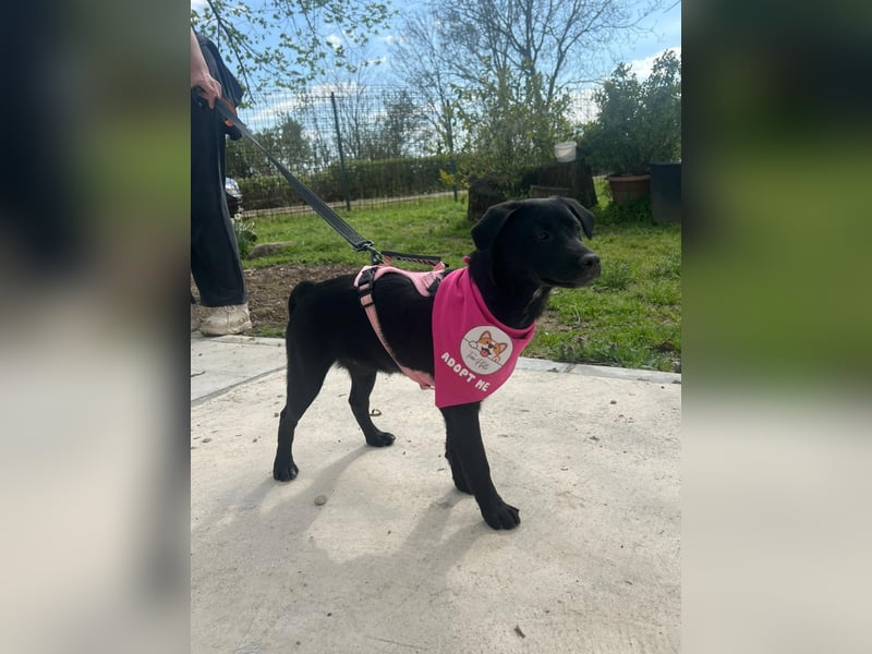 SHILA – neugierige kleine Entdeckerin