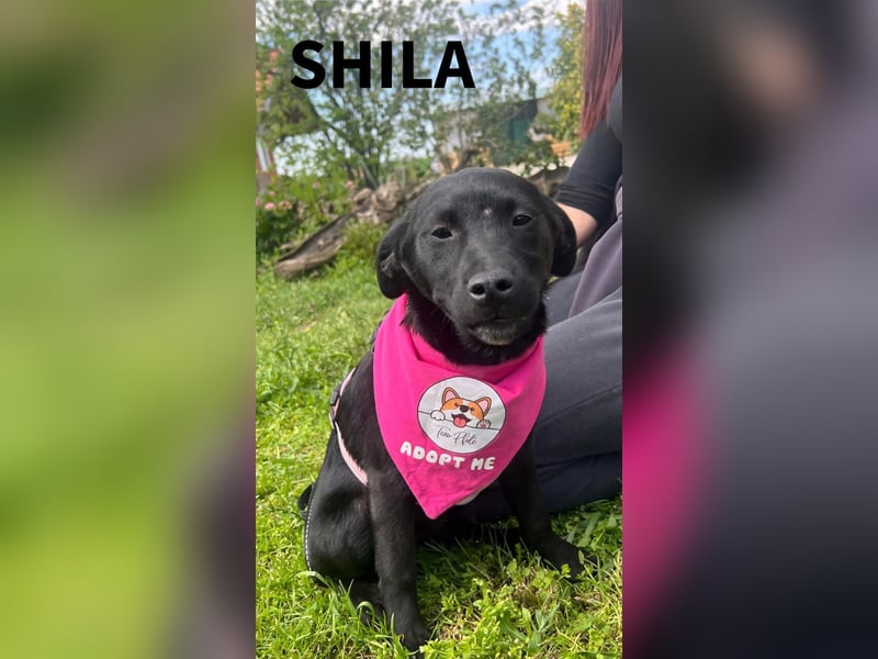 SHILA – neugierige kleine Entdeckerin