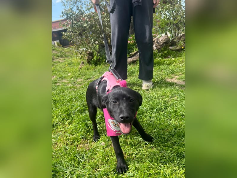 SHILA – neugierige kleine Entdeckerin