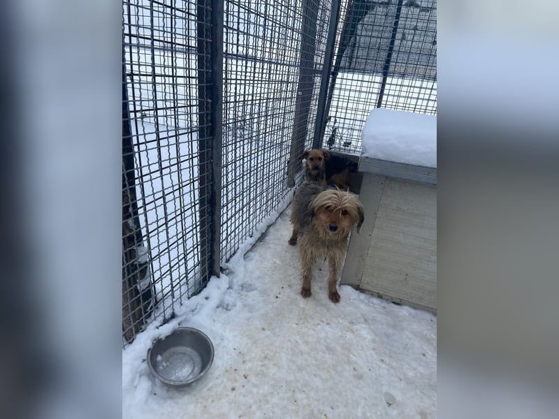 RUBY – zarte, sensible Seele