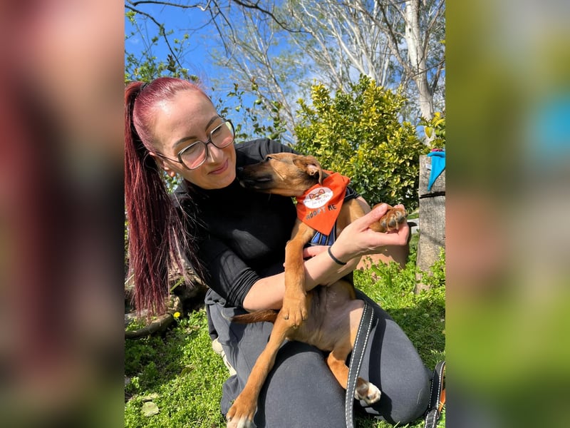 BODO – kleiner Entdecker mit großem Herz