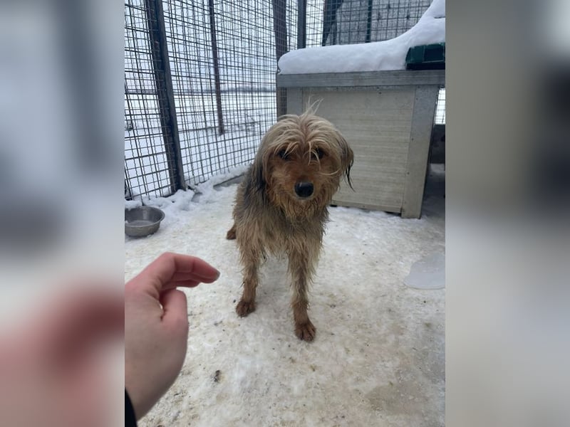 RUBY – zarte, sensible Seele