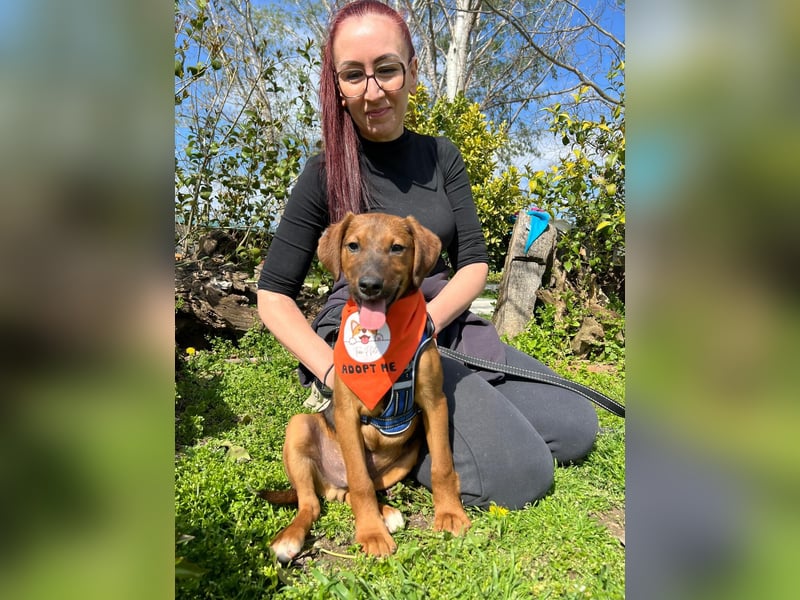 BODO – kleiner Entdecker mit großem Herz