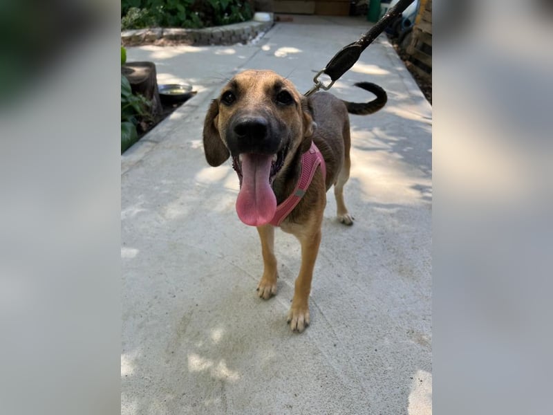 Josy - unsere wundervolle Frohnatur