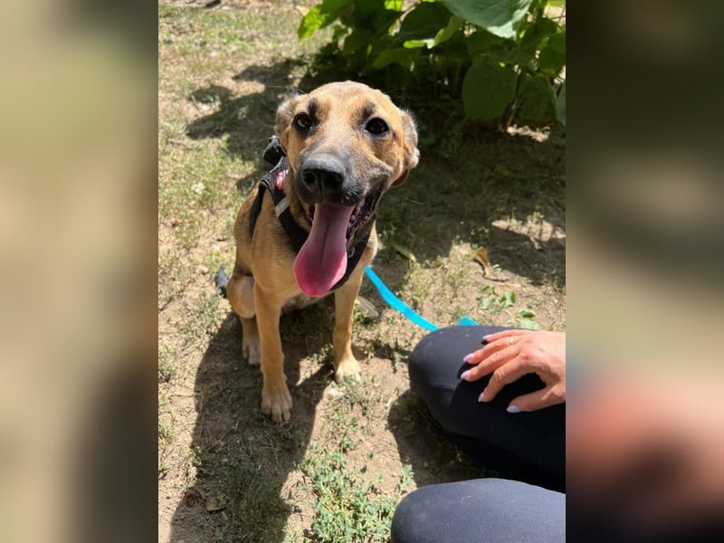 Cleo - unsere wundervolle Frohnatur