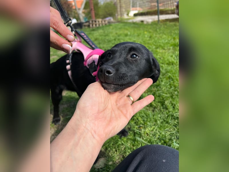 SHILA – neugierige kleine Entdeckerin