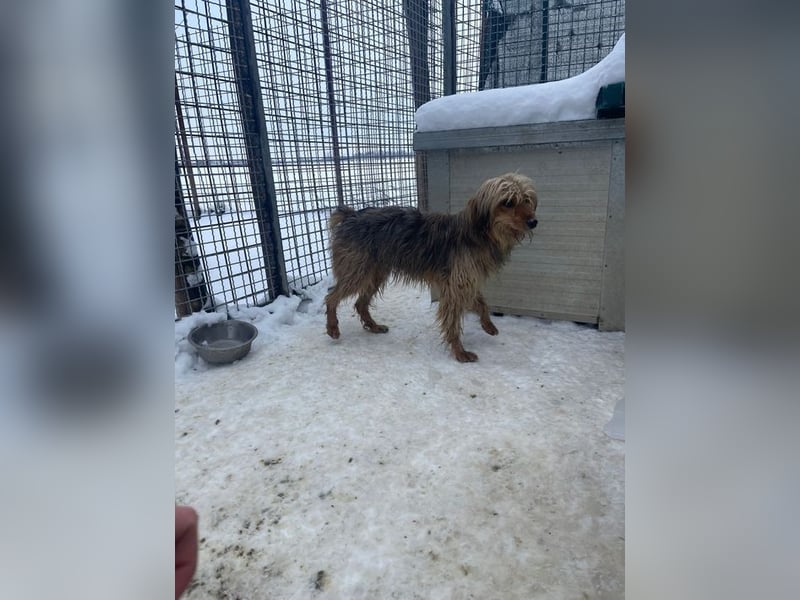 RUBY – zarte, sensible Seele