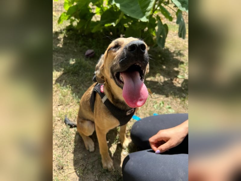 Cleo - unsere wundervolle Frohnatur