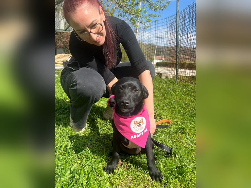 SHILA – neugierige kleine Entdeckerin