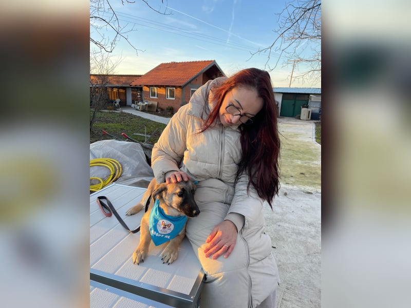 LUCKY – kleiner charmanter Herzensbrecher