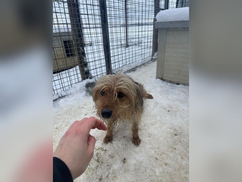 RUBY – zarte, sensible Seele