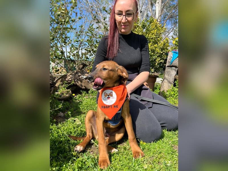 BODO – kleiner Entdecker mit großem Herz