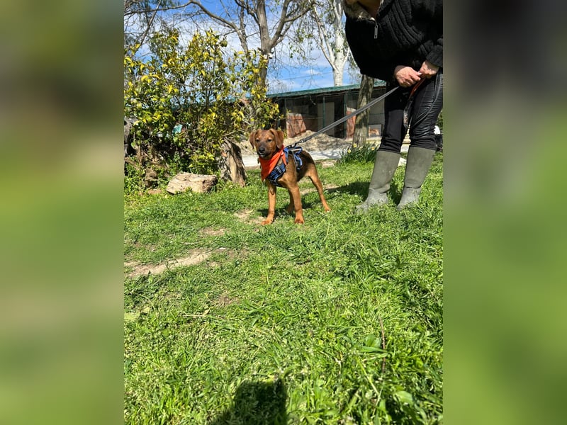 BODO – kleiner Entdecker mit großem Herz