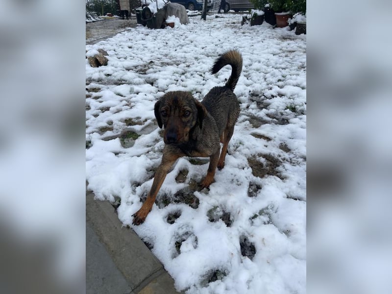 ALMA – sanfte, freundliche Seele