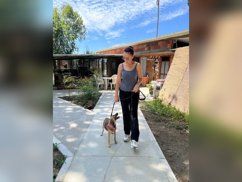 Josy - unsere wundervolle Frohnatur