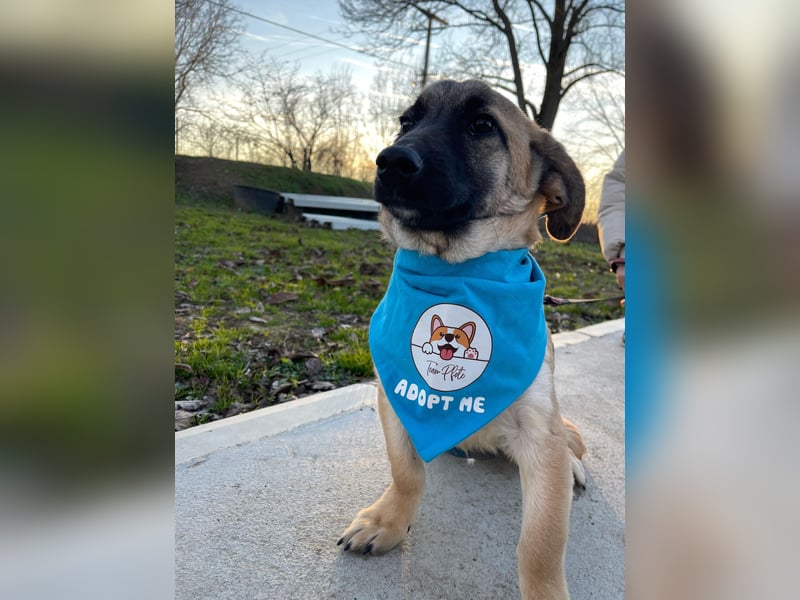 LUCKY – kleiner charmanter Herzensbrecher