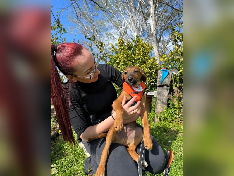 BODO – kleiner Entdecker mit großem Herz