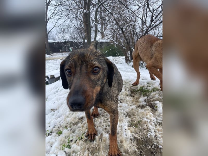 ALMA – sanfte, freundliche Seele