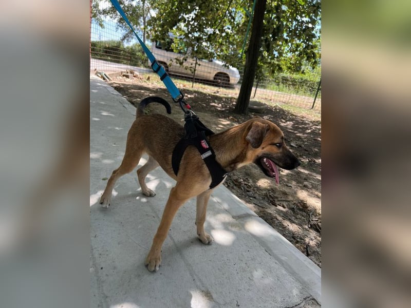 Cleo - unsere wundervolle Frohnatur