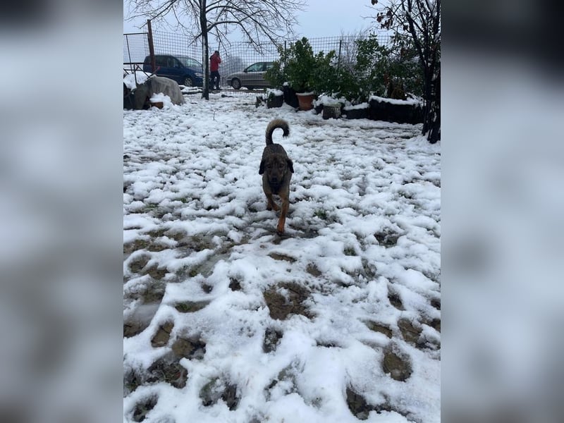 ALMA – sanfte, freundliche Seele