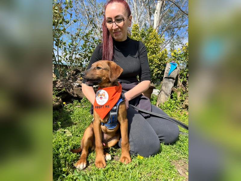 BODO – kleiner Entdecker mit großem Herz